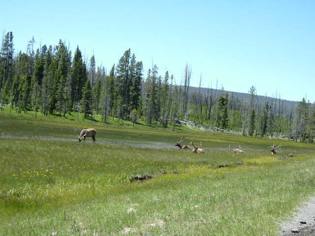 057_usa3_025eg